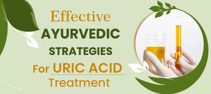 You are currently viewing Best Way to Manage Uric Acid Naturally: Ayurvedic Medicine for Uric Acid 2024